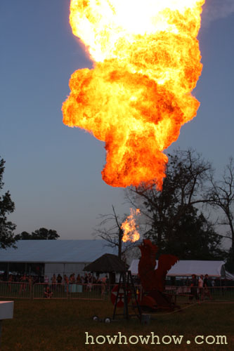 Bonnaroo_08_148