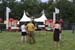 Bonnaroo_08_171
