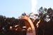 Bonnaroo_08_227