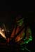 Bonnaroo_08_253