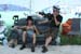 Bonnaroo_08_479
