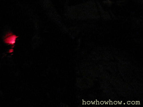 MVI_0462