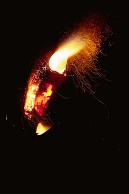 B06