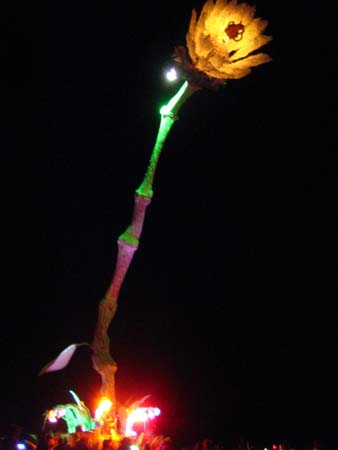 IMG_0124
