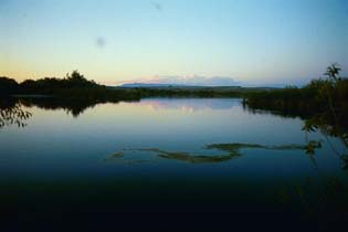 trip 492
