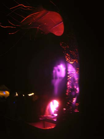 IMG_0031
