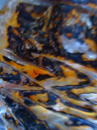 IMG_0090