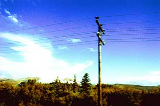trip 701