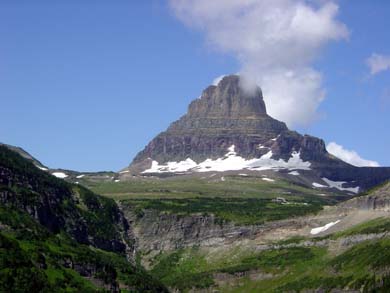 29d