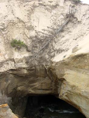 DSC00040_edited